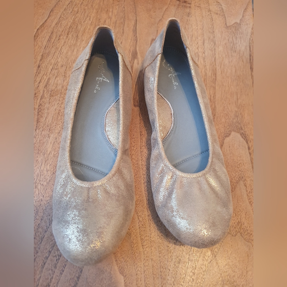Anesha Metallic Leather Ballet Flats Size 41